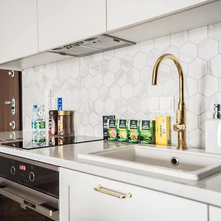 アパート Vipwarsawapartments Sapphire Mennica